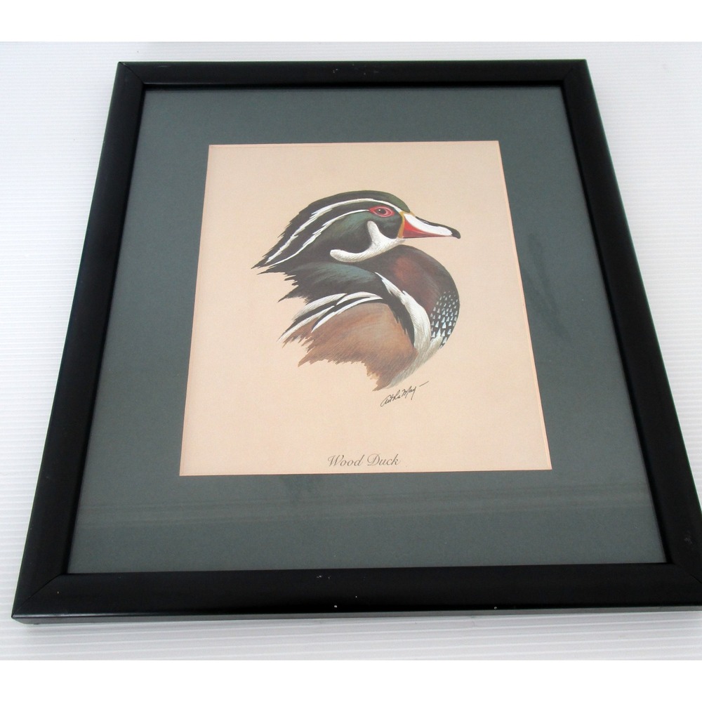 Art Lamay Wood Duck Watercolor Print Signed Black Frame Green Mat 13 x 14.5"